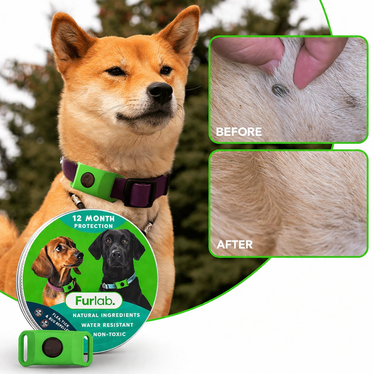 FurLab 12 Months Flea and Tick Free